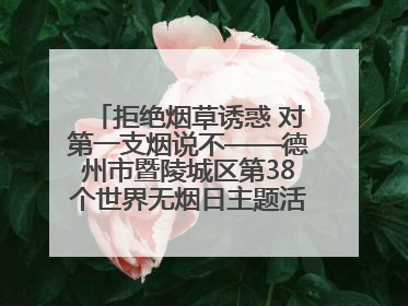 拒绝烟草诱惑 对第一支烟说不——德州市暨陵城区第38个世界无烟日主题活动走进校园