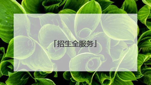 招生全服务