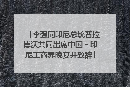 李强同印尼总统普拉博沃共同出席中国－印尼工商界晚宴并致辞