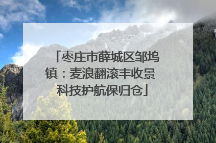 枣庄市薛城区邹坞镇：麦浪翻滚丰收景 科技护航保归仓