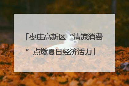 枣庄高新区“清凉消费”点燃夏日经济活力