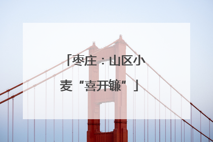 枣庄：山区小麦“喜开镰”