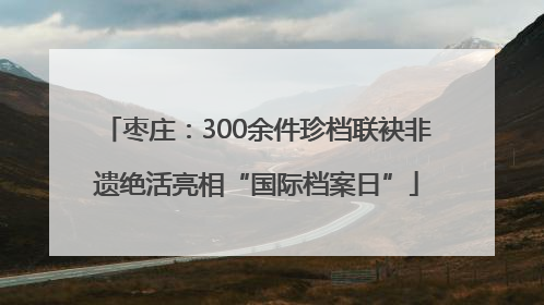 枣庄：300余件珍档联袂非遗绝活亮相“国际档案日”