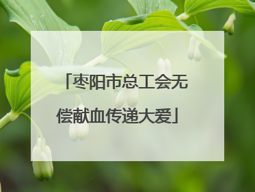 枣阳市总工会无偿献血传递大爱