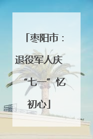 枣阳市：退役军人庆“七一”忆初心