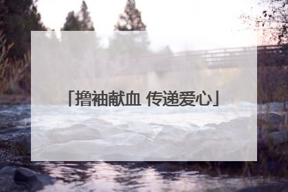 撸袖献血 传递爱心