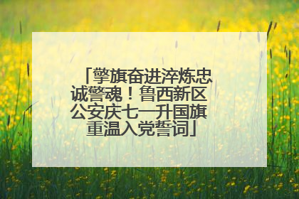 擎旗奋进淬炼忠诚警魂！鲁西新区公安庆七一升国旗 重温入党誓词