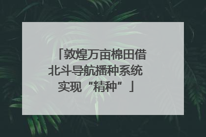 敦煌万亩棉田借北斗导航播种系统实现“精种”