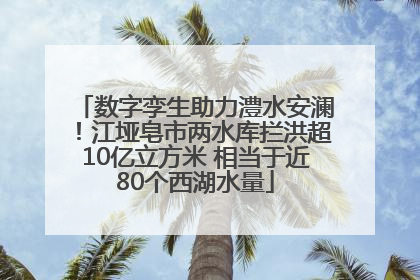 数字孪生助力澧水安澜！江垭皂市两水库拦洪超10亿立方米 相当于近80个西湖水量