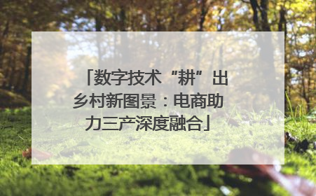 数字技术“耕”出乡村新图景：电商助力三产深度融合