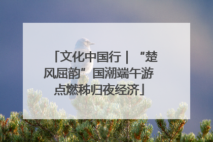文化中国行｜“楚风屈韵”国潮端午游点燃秭归夜经济
