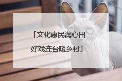 文化惠民润心田 好戏连台暖乡村