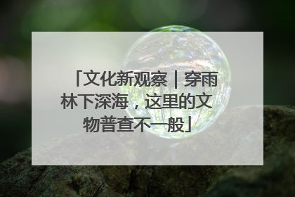文化新观察｜穿雨林下深海，这里的文物普查不一般