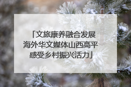 文旅康养融合发展 海外华文媒体山西高平感受乡村振兴活力