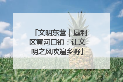 文明东营｜垦利区黄河口镇：让文明之风吹遍乡野
