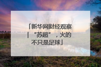 新华网财经观察｜“苏超”，火的不只是足球