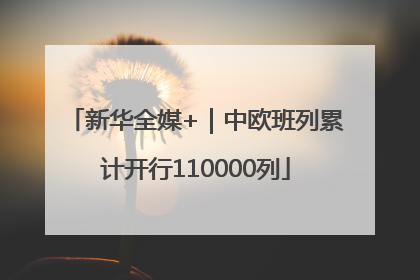 新华全媒+｜中欧班列累计开行110000列