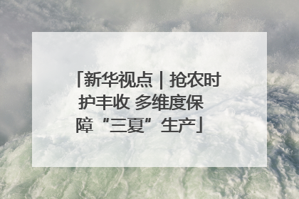 新华视点｜抢农时 护丰收 多维度保障“三夏”生产