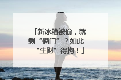 新冰箱被偷，就剩“俩门”？如此“生财”得拘！