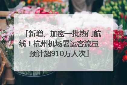 新增、加密一批热门航线！杭州机场暑运客流量预计超910万人次