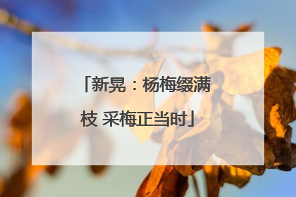 新晃：杨梅缀满枝 采梅正当时