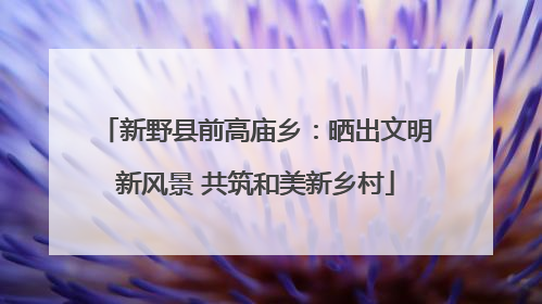 新野县前高庙乡：晒出文明新风景 共筑和美新乡村