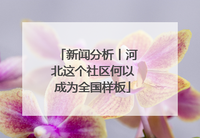 新闻分析丨河北这个社区何以成为全国样板