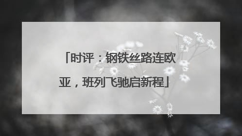 时评:钢铁丝路连欧亚,班列飞驰启新程