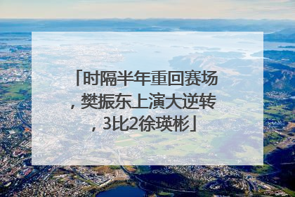 时隔半年重回赛场，樊振东上演大逆转，3比2徐瑛彬