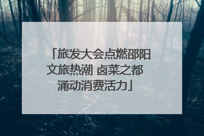 旅发大会点燃邵阳文旅热潮 卤菜之都涌动消费活力