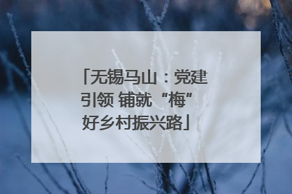 无锡马山：党建引领 铺就“梅”好乡村振兴路