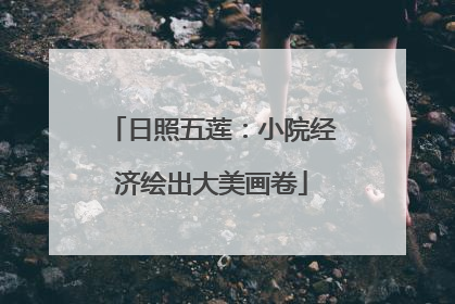 日照五莲：小院经济绘出大美画卷