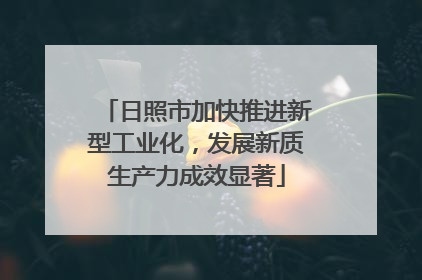 日照市加快推进新型工业化，发展新质生产力成效显著