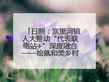 日照：寨里河镇人大推动“代表联络站+”深度融合——绘就和美乡村幸福画卷