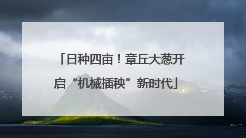 日种四亩！章丘大葱开启“机械插秧”新时代