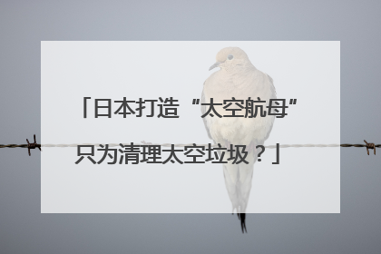 日本打造“太空航母”只为清理太空垃圾？