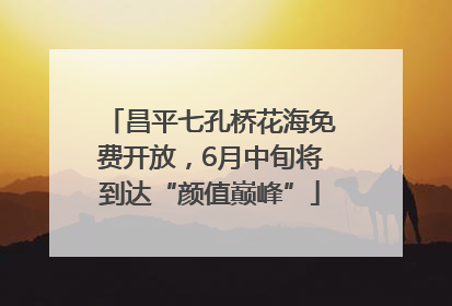 昌平七孔桥花海免费开放，6月中旬将到达“颜值巅峰”