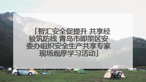 智汇安全促提升 共享经验筑防线 青岛市即墨区安委办组织安全生产共享专家现场观摩学习活动