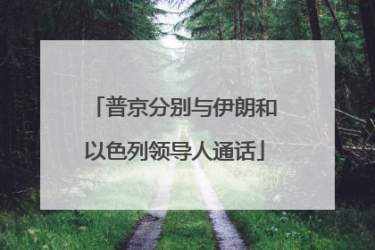 普京分别与伊朗和以色列领导人通话