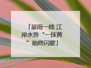 暴雨一线 江岸水务“一抹黄”始终闪耀