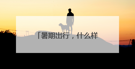暑期出行，什么样的充电宝可以带？长沙机场划重点