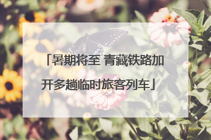 暑期将至 青藏铁路加开多趟临时旅客列车