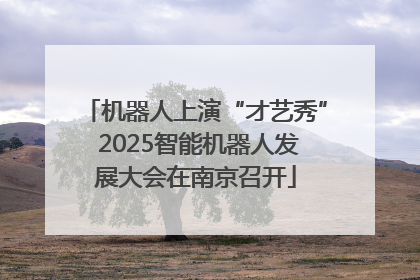 机器人上演“才艺秀” 2025智能机器人发展大会在南京召开