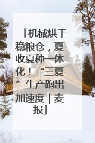 机械烘干稳粮仓，夏收夏种一体化！“三夏”生产跑出加速度｜麦报