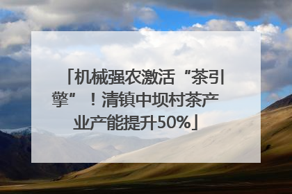 机械强农激活“茶引擎”！清镇中坝村茶产业产能提升50%