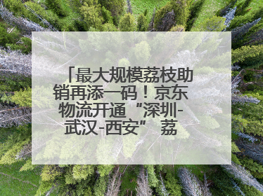 最大规模荔枝助销再添一码！京东物流开通“深圳-武汉-西安” 荔枝全货机航线