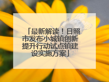 最新解读！日照市发布小城镇创新提升行动试点镇建设实施方案