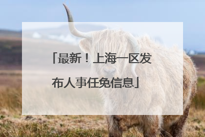 最新！上海一区发布人事任免信息