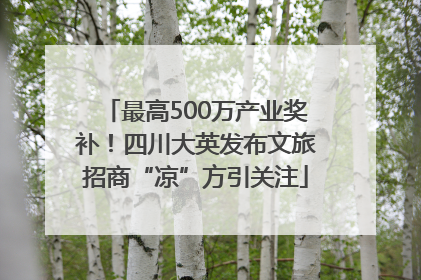 最高500万产业奖补！四川大英发布文旅招商“凉”方引关注