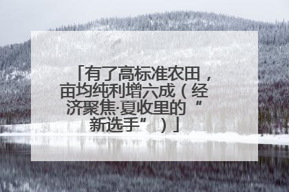 有了高标准农田，亩均纯利增六成（经济聚焦·夏收里的“新选手”）